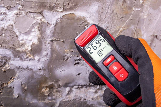 Best Emergency Mold Removal  in Manatee Road, FL