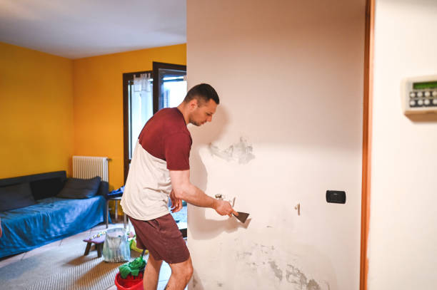 Best Home Mold Removal  in Manatee Road, FL